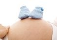 Dipendente a tempo determinato incinta, il rinnovo di contratto è obbligatorio?