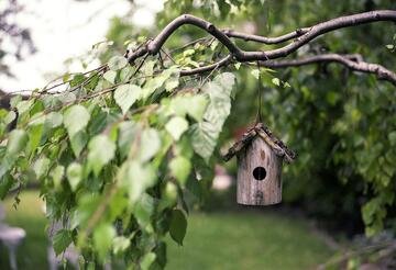 Multa di €679 per chi fa giardinaggio, ecco i milioni di italiani che rischiano una sanzione
