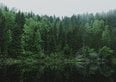 Cervi e cascate da sogno. Puoi ammirarli in questo parco naturale a 3 ore da Roma