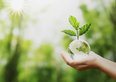 ESG, significato e criteri: cosa sono gli investimenti sostenibili