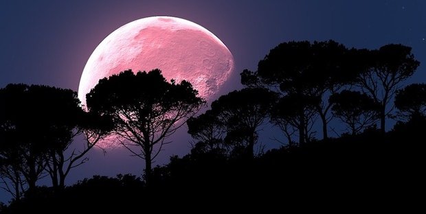 Risultati immagini per la luna rosa venerdi' 19 aprile 2019?