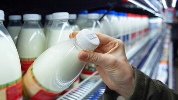 Non bere assolutamente questo latte per rischio aviaria, l'allarme dell'Oms