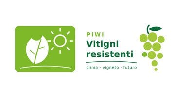 Vitigni resistenti e ibridi PIWI. Il futuro (internazionale) del vino nell'era del climate change