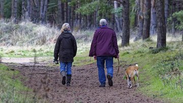 Localizzatori GPS per animali: prezzi e modelli migliori