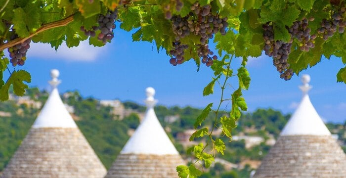 Puglia oltre Primitivo e Negroamaro: i vitigni autoctoni da conoscere