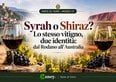 Syrah o Shiraz? Lo stesso vitigno, due identità: dal Rodano all'Australia
