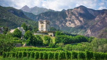 Contributo agricoltura 400 euro per ettaro, come fare domanda