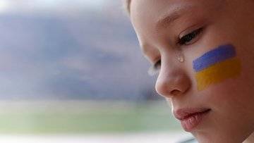 Decreto Ucraina approvato, cosa cambia per armi e permessi di soggiorno?