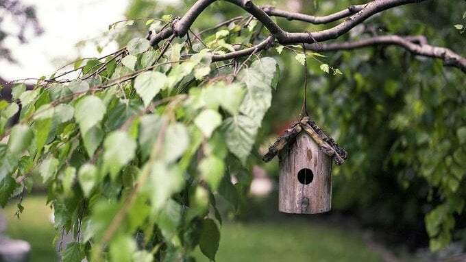 Cosa rischia chi fa lavorare un giardiniere in nero