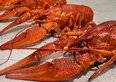 Furto record in un supermercato. Sparite aragoste per $400.000