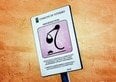 Parcheggi rosa, chi può usarli, multe e come richiedere il contrassegno