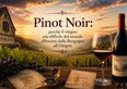 Pinot Noir: perché il vitigno più difficile del mondo affascina dalla Borgogna all'Oregon