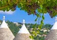Puglia oltre Primitivo e Negroamaro: i vitigni autoctoni da conoscere