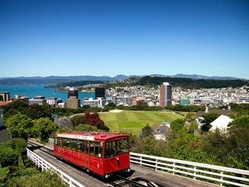 Coronavirus, il caso assurdo della Nuova Zelanda che ha 1 morto e pochi contagi