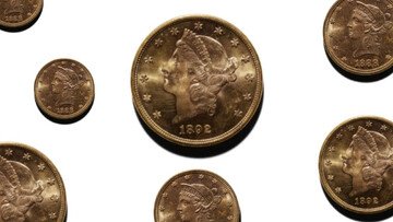 Porta a spasso il cane e trova 1.411 monete oro. Oggi valgono €30 milioni