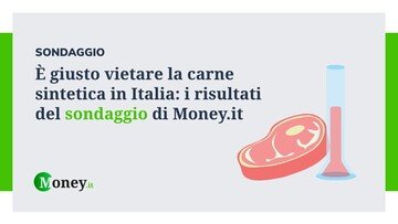 È giusto vietare la carne sintetica in Italia: i risultati del sondaggio