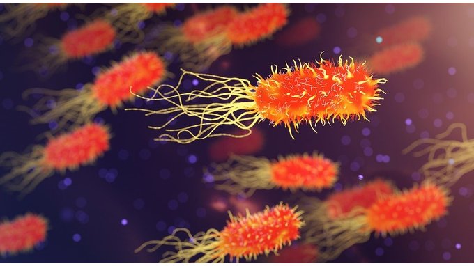 Metapneumovirus umano, cosa sappiamo sull'infezione che dilaga negli Stati Uniti