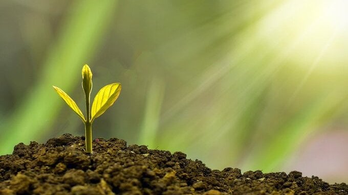 Come fare soldi con un terreno abbandonato