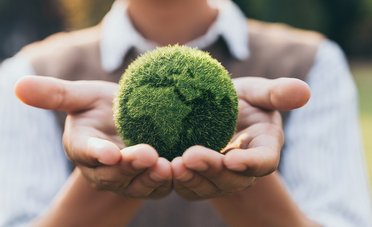 Soltanto l'Europa ha tagliato la CO₂ nel 2024