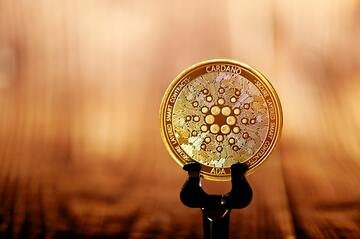 Cardano perde ancora terreno, cosa aspettarsi?