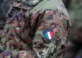 L'Italia deve portare la spesa militare al 5% come chiesto dalla Nato? Partecipa al sondaggio