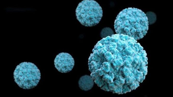 Focolaio di metapneumovirus (Hmpv), ecco l'elenco completo dei Paesi con casi segnalati 