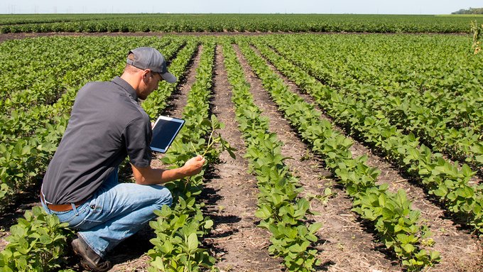 Come la tecnologia rivoluzionerà il settore agroalimentare