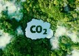 Catturano la CO₂ e la nascondono sotto il mare. Il nuovo progetto EU