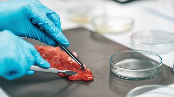 È giusto vietare la carne sintetica in Italia? Il sondaggio