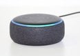 Come funziona Alexa+, quanto costa e cosa cambia con l'AI generativa
