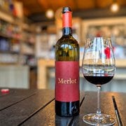 Il Merlot, il fratello «morbido» del Cabernet. Perché il vitigno più diffuso al mondo è anche il più incompreso