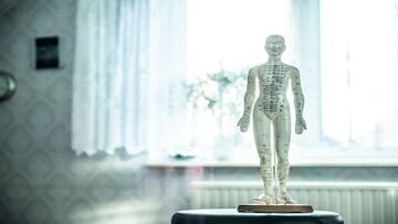 Quanto costa una seduta di fisioterapia? Prezzi SSN e privato, ticket e detrazioni