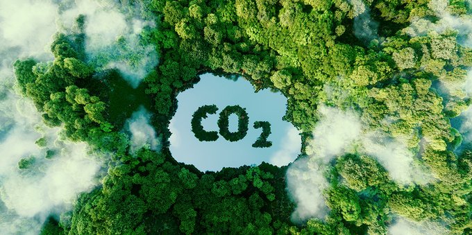 BNP Paribas contro il cambiamento climatico: ecco i nuovi Certificates per favorire la riforestazione del territorio italiano