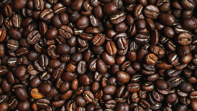 Caffè, la minaccia ambientale della bevanda più consumata al mondo