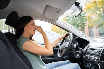 Multa per chi non pulisce l'auto, ecco cosa si rischia e quando
