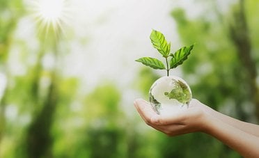 Pioggia di cedole sui BTP Green con tassi annui fino al 4,40% e rendimenti fino al 4,9%