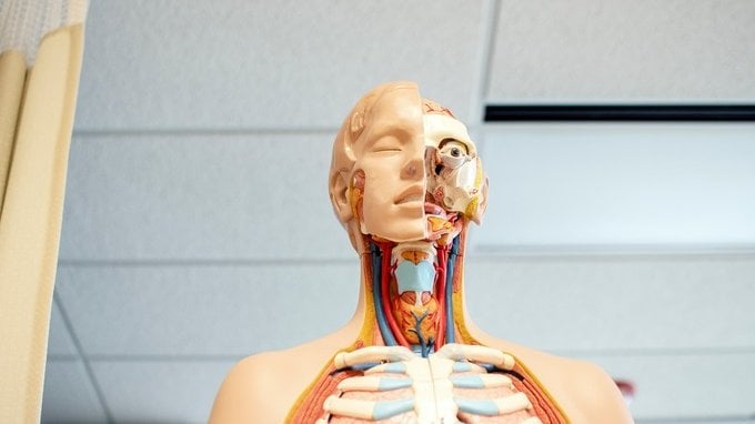Tolc Med: cosa significa, come funziona e date del nuovo test di Medicina