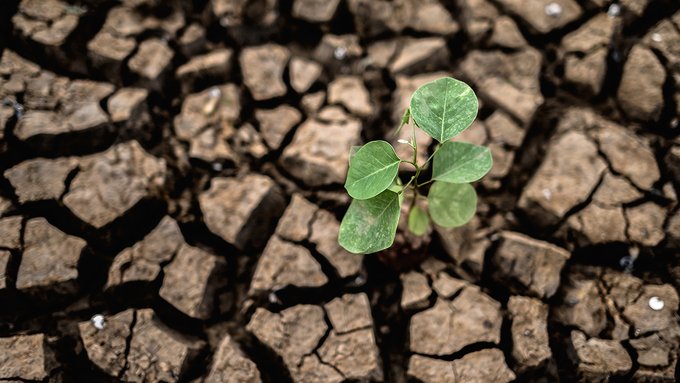 La siccità potrebbe diventare la prossima crisi globale, l'allarme dell'ONU