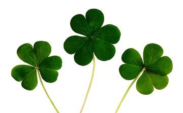 Lavorare in Irlanda, come fare: documenti, burocrazia e professioni più richieste