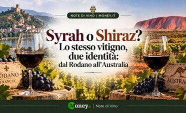 Syrah o Shiraz? Lo stesso vitigno, due identità: dal Rodano all'Australia