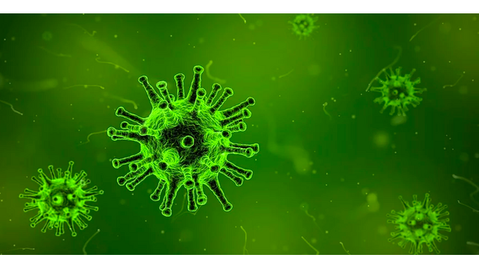 I virus più pericolosi e letali del mondo 