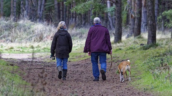 Nuove regole per chi viaggia con cani e gatti, cambia tutto da aprile 2026