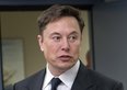 Che fine ha fatto il partito di Elon Musk?