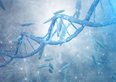 Morgan Stanley punta su Argenx, una biotech tra le più preziose in Europa che può superare i 130 miliardi 