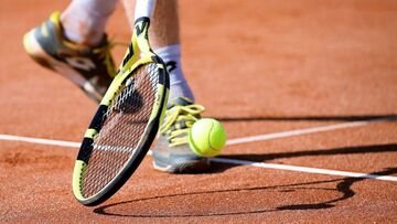 Montepremi Coppa Davis 2024, quanto guadagna il vincitore: tutti i premi