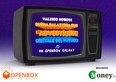 Back to the 2022: guida galattica per l'advertising digitale del futuro (Valerio Ronchi)