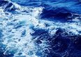 Sai perché vogliono scaricare sfere di cemento da 400 tonnellate nelle profondità dell'oceano?