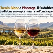 Chenin Blanc e Pinotage. Il Sudafrica, la grande tradizione enologica rimasta nell'ombra per un secolo