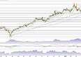 Idexx Laboratories alla prova del record storico