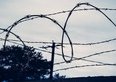 Dap: cos'è, significato, funzioni e organizzazione